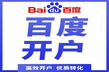 谷歌竞价广告与SEO结合的营销案例解析
